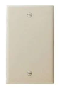 Diamond Group DG52490VP Blank Wall Plate Ivory